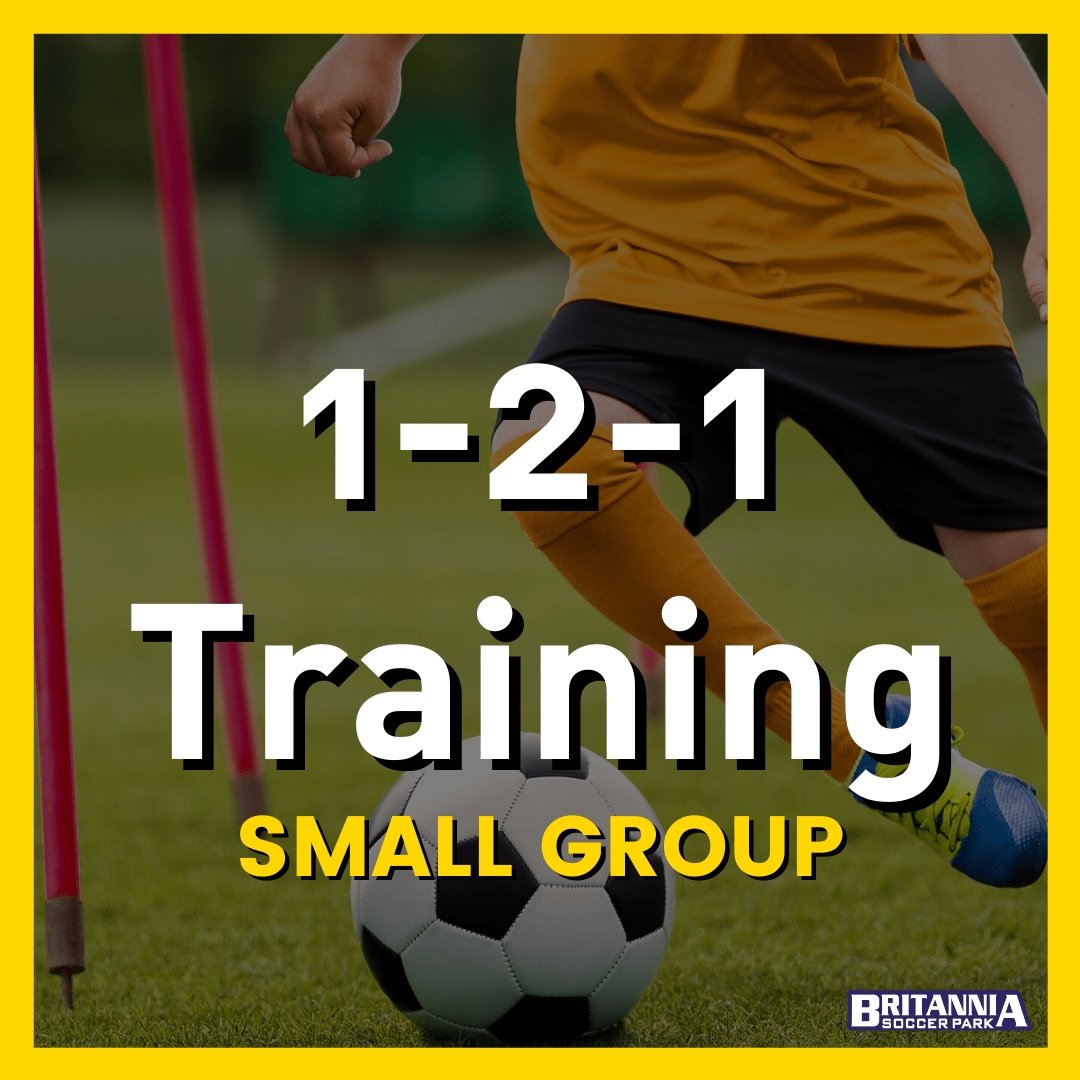 Britannia Soccer Park Individual/Small Group Training 2 Players 1-2-1 Training